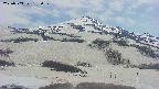 area2-20250503132033.jpg