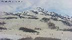area2-20250503143036.jpg