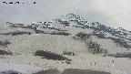 area2-20250503155036.jpg
