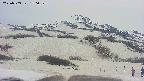 area2-20250503170035.jpg