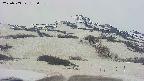 area2-20250503175039.jpg