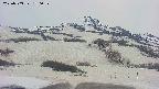 area2-20250503180037.jpg