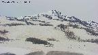 area2-20250503181038.jpg