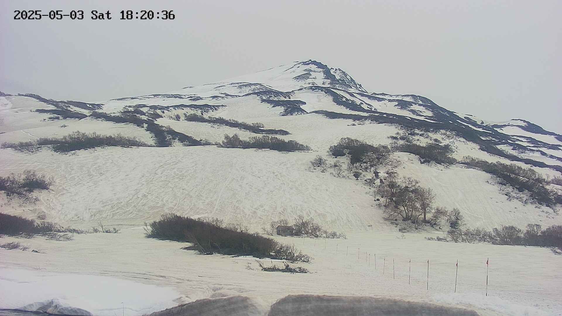 area2-20250503182041.jpg