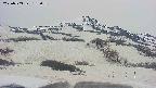 area2-20250503182041.jpg