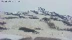 area2-20250503183037.jpg