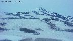 area2-20250503185035.jpg