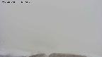 area2-20250504050030.jpg