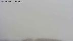 area2-20250504060029.jpg