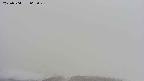 area2-20250504065030.jpg