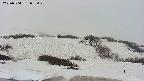 area2-20250504082032.jpg