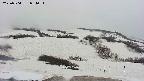 area2-20250504084034.jpg