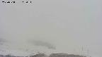 area2-20250504103031.jpg