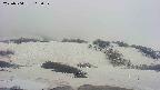 area2-20250504112034.jpg