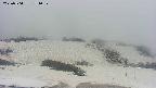 area2-20250504151034.jpg