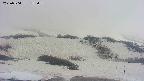area2-20250504152039.jpg