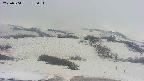 area2-20250504153036.jpg