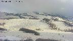 area2-20250504162038.jpg