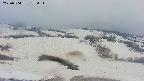area2-20250504172032.jpg