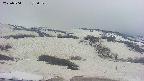 area2-20250504175032.jpg