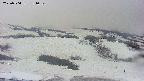 area2-20250504181035.jpg