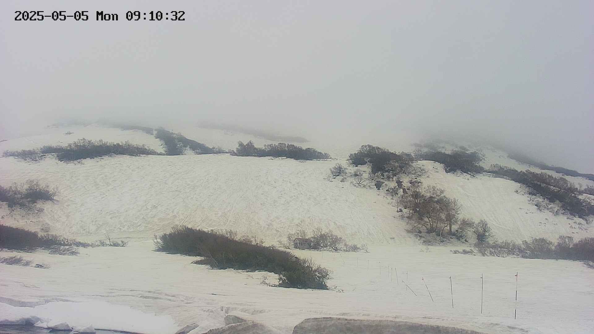 area2-20250505091034.jpg