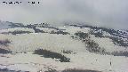 area2-20250505104033.jpg