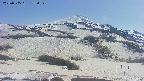 area2-20250505152041.jpg