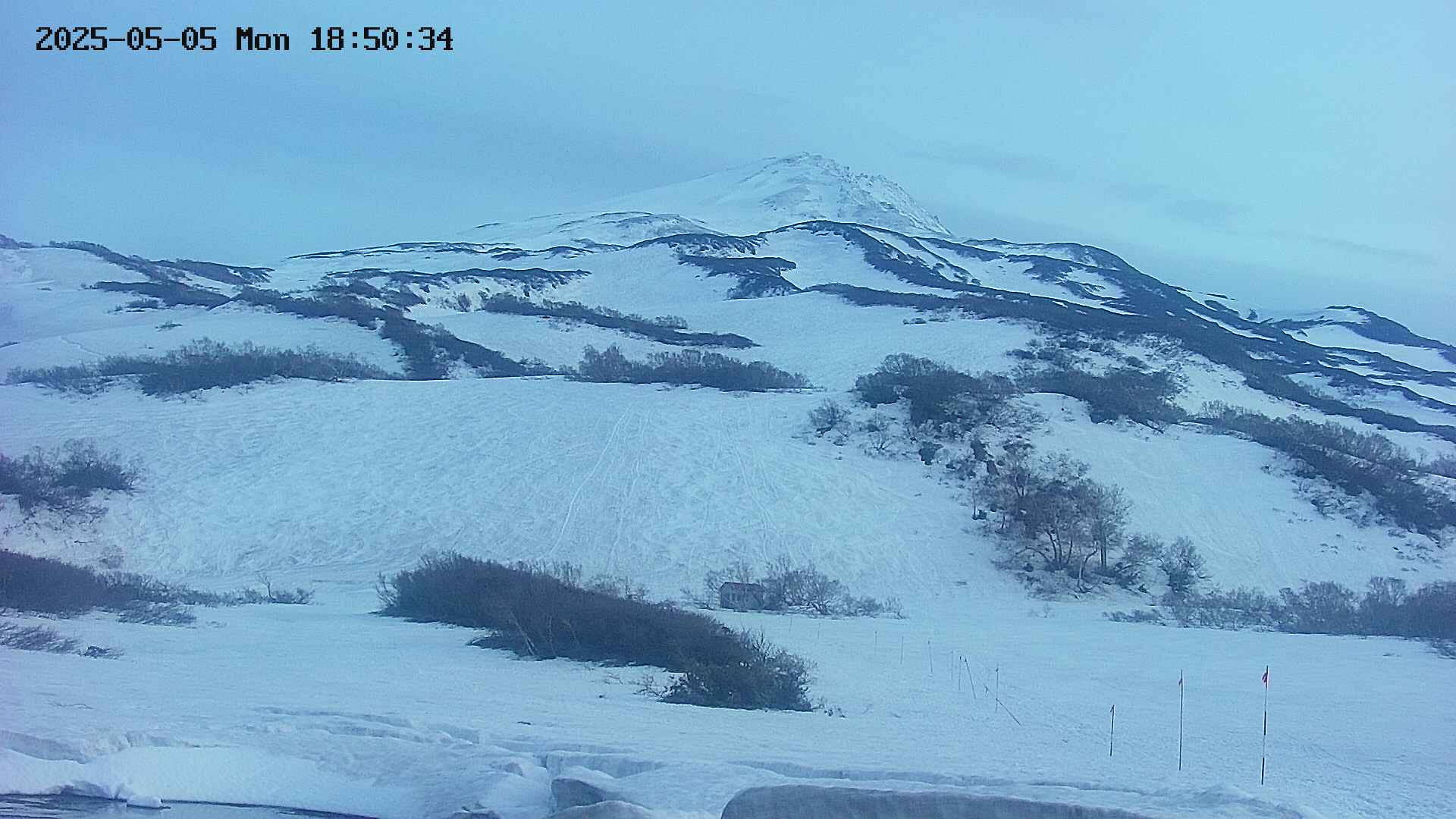 area2-20250505185038.jpg