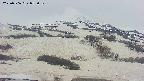 area2-20250506053032.jpg