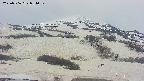 area2-20250506054032.jpg