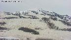 area2-20250506055031.jpg