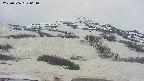 area2-20250506061037.jpg