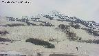 area2-20250506062029.jpg