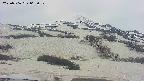 area2-20250506063031.jpg