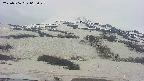 area2-20250506065029.jpg