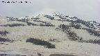 area2-20250506070032.jpg