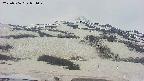 area2-20250506071030.jpg