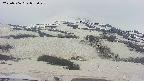 area2-20250506072029.jpg