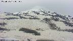 area2-20250506073029.jpg
