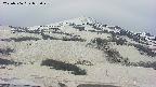 area2-20250506082027.jpg