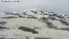 area2-20250506084028.jpg