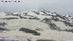 area2-20250506094032.jpg
