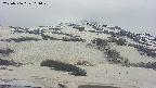 area2-20250506101030.jpg