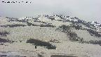 area2-20250506103032.jpg