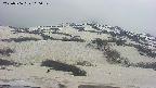 area2-20250506110032.jpg
