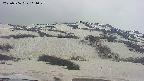area2-20250506111029.jpg