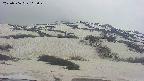 area2-20250506112029.jpg