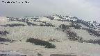 area2-20250506120030.jpg
