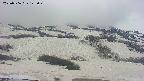 area2-20250506125032.jpg